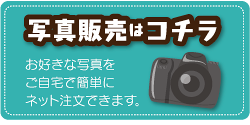 写真販売はこちら